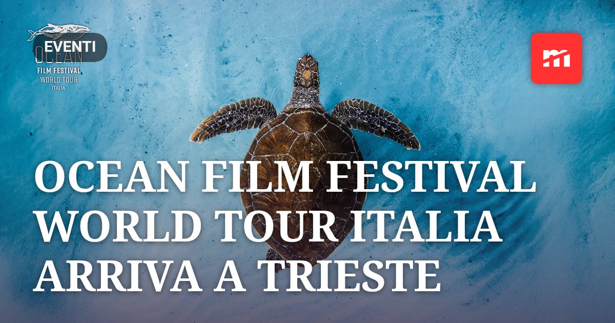 Ocean Film Festival World Tour Italia arriva a Trieste: mercoledì 21 ottobre al Cinema Ariston sei film dedicati al mare